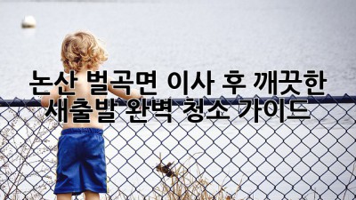 논산 벌곡면 이사 후, 깨끗한 새출발! 완벽 청소 가이드