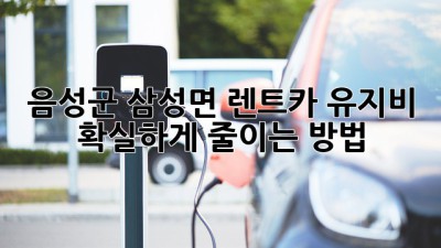 음성군 삼성면 렌트카 유지비, 확실하게 줄이는 방법!