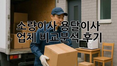 소량이사, 용달이사 업체 비교분석 후기
